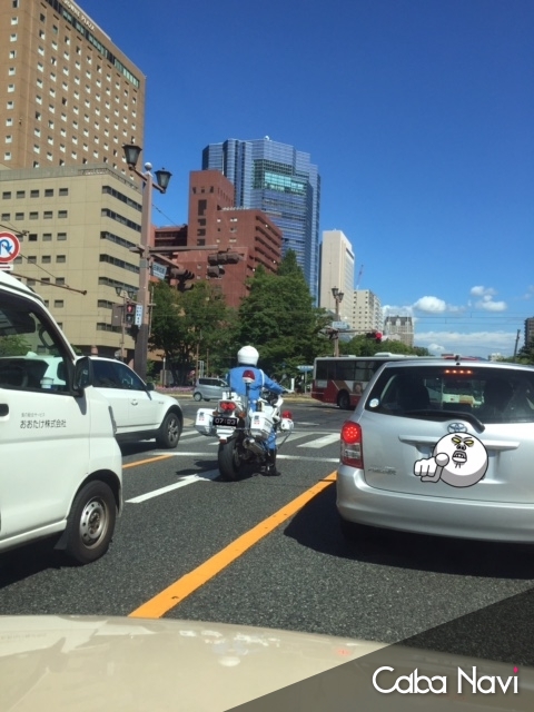 向日葵夏海  (チーママ)