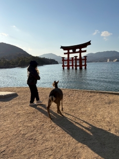 こんばんは🦌💨